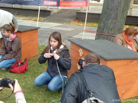 W Gdyni odbył się happening "Zerwijmy łańcuchy", fot. OTOZ Animals
