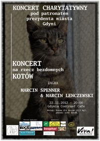 Koncert na rzecz bezdomnych kotów
