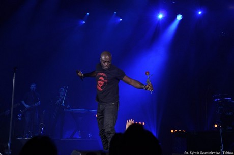 Seal w Hali Sportowo-Widowiskowej Gdynia / fot. Sylwia Szumielewicz - Tobiasz