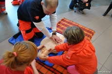 Dzień dawcy szpiku dla Sławka i innych - Gdynia, Centrum Gemini 24 listopada 2012 / fot. Dorota Nelke