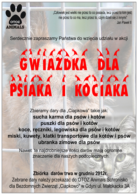 Gwiazdka dla psiaka i kociaka