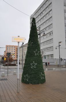 choinka na Placu Kaszubskim