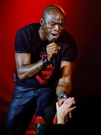 Seal w Gdyni / fot. Dawid Linkowski