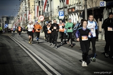 Bieg urodzinowy Gdyni 2013, fot. GOSiR Gdynia