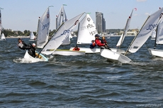 Opti 3, fot Arkadiusz Komorowski