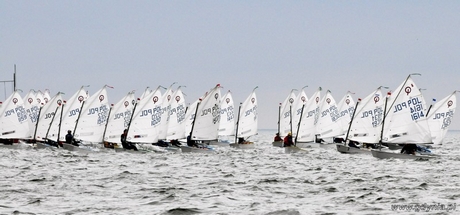 Opti 4, fot Arkadiusz Komorowski