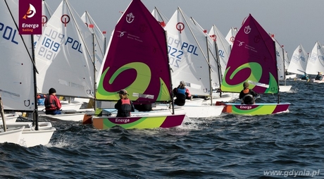 Opti, fot. Arkadiusz Komorowski