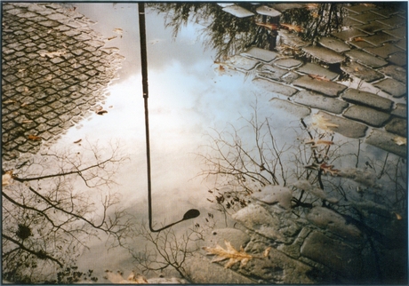 fot. Krystyna Łyczywek