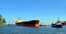Masowiec m/v „Mona Pegasus” w gdyńskim porcie, fot. A. Schmidt