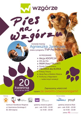 Pies na Wzgórzu