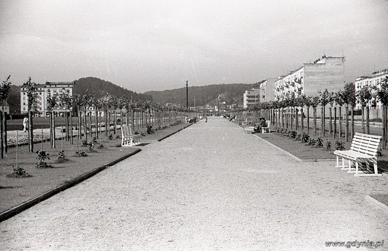 Aleja Marsz. Piłsudskiego w 1935 roku, fot. Henryk Poddębski (ze zbiorów Muzeum Miasta Gdyni)