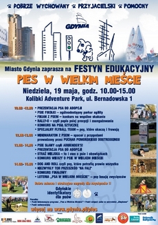 Psie Fikołki 2013