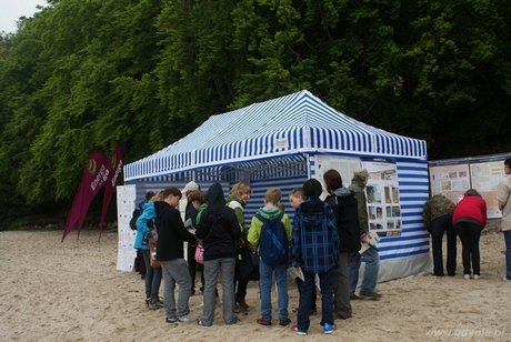 Piknik Naukowy w Gdyni Orłowie, fot. Małgorzata Omachel - Kwidzińska