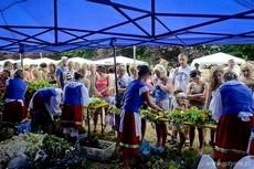 Lato zaczęło się w Gdyni - Cudawianki 2013, fot. Maciej Czarniak