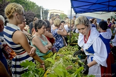 Lato zaczęło się w Gdyni - Cudawianki 2013, fot. Maciej Czarniak