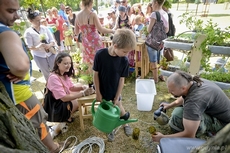 Lato zaczęło się w Gdyni - Cudawianki 2013, fot. Maciej Czarniak