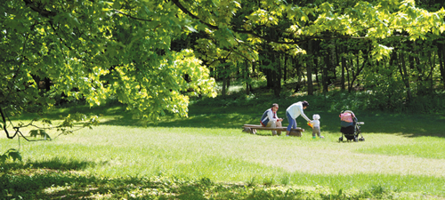 Park w Orłowie Fot. Krzysztof Romański