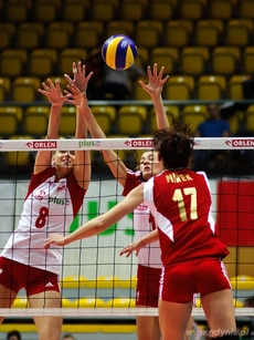 Mecz Złotka vs. Reprezentacja Polski w Hali Sportowo-Widowiskowej Gdynia, fot. Dawid Linkowski