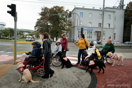 Warsztaty dla Osób Niepełnosprawnych z Psami Asystującymi, fot. Fundacja DOGIQ