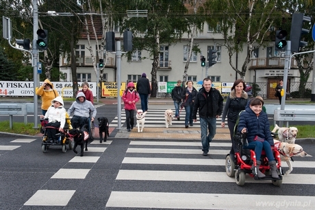 Warsztaty dla Osób Niepełnosprawnych z Psami Asystującymi, fot. Fundacja DOGIQ