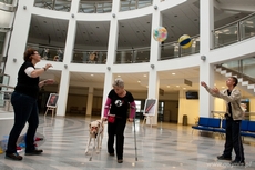 V Gdyńskie warsztaty dla osób niepełnosprawnych z psami asystującymi- dzień drugi, fot. DOGIQ