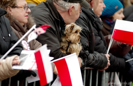 Gdyńska Parada Niepodległości, fot. Monika Michałek