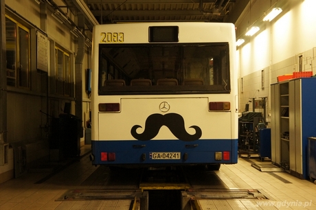 Wąsaty autobus