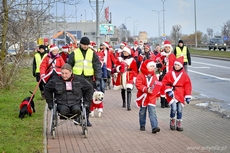 Mikołaje w Tenisówkach (biegacze), fot. Maciej Czarniak
