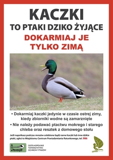 Dokarmiaj ptaki z głową i tylko zimą!