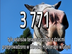 Konie leczą, czyli hipoterapia w Gdyni