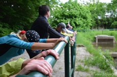 Gdyńskie Poruszenie 2014