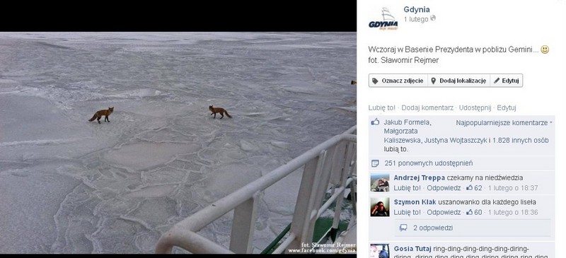 Gdyński profil na Facebooku - jeden z najpopularniejszych postów