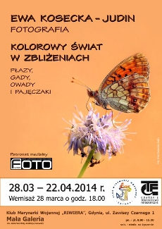 Płazy, gady, owady i pajęczaki w Klubie Riwiera