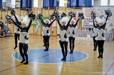 XII Gdyński Festiwal Zespołów Cheerleaders, fot. Maciej Czarniak