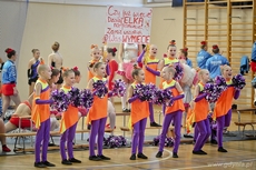XII Gdyński Festiwal Zespołów Cheerleaders, fot. Maciej Czarniak