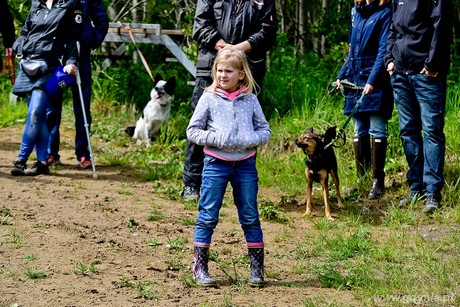 Psie fikołki - 11 maja w Adventure Park Gdynia, fot. Maciej Czarniak