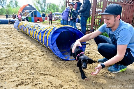 Psie fikołki - 11 maja w Adventure Park Gdynia, fot. Maciej Czarniak