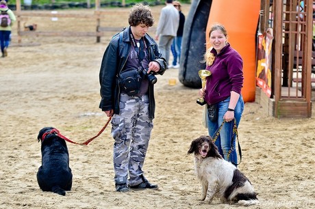 Psie fikołki - 11 maja w Adventure Park Gdynia, fot. Maciej Czarniak