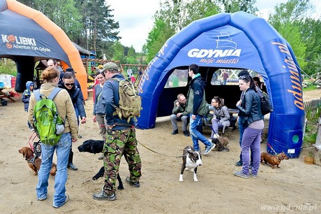 Psie fikołki - 11 maja w Adventure Park Gdynia, fot. Maciej Czarniak