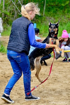 Psie fikołki - 11 maja w Adventure Park Gdynia, fot. Maciej Czarniak