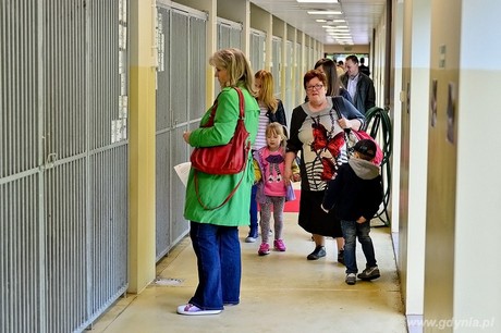 Nowe życie Ciapkowa, fot. Maciej Czarniak