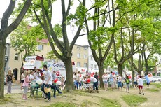 Double Deckerem po Gdyni, fot. Tomasz Lenik