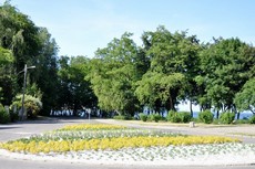 Powstał Ogródek na parkingu przy ulicy Ejsmonda, fot. Dorota Nelke