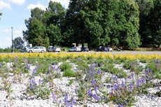 Powstał Ogródek na parkingu przy ulicy Ejsmonda, fot. Dorota Nelke