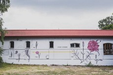 Mural autorstwa Pastel na budynku Tubazy, fot. Alka Murat