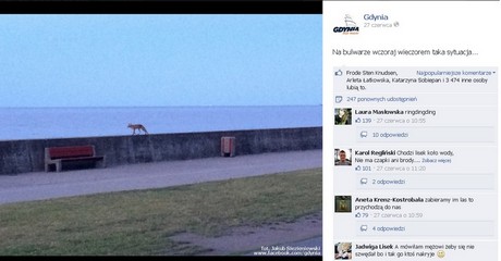 Jeden z najpopularniejszych postów z ostatnich tygodni na Gdyńskim profilu na Facebooku