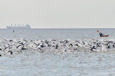 Herbalife Triathlon Gdynia 2014, fot. Tomasz Lenik