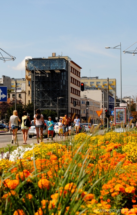 Zdjęcie Dariusza Sobieckiego wyróżnione w sierpniowej edycji konkursu Gdynia Kwitnie