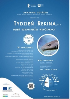 Tydzień rekina i... płaszczki