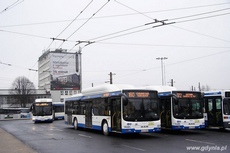 Nowe autobusy marki MAN, zasilane sprężonym gazem ziemnym, fot. ZKM Gdynia